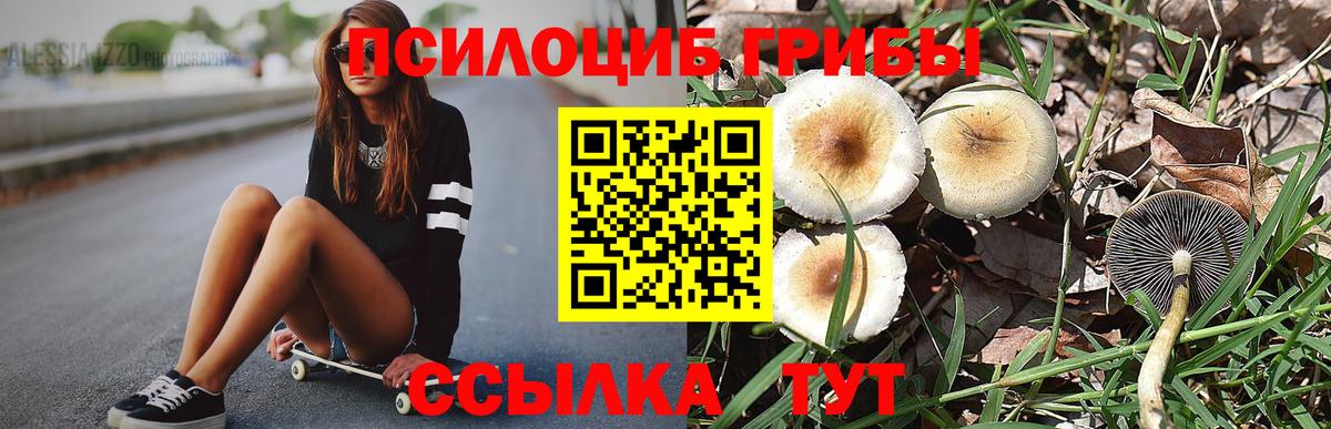 Петропавловск-Камчатский  Галлюциногенные грибы прущие грибы  Вход с VPN 